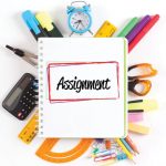 assignment homework help